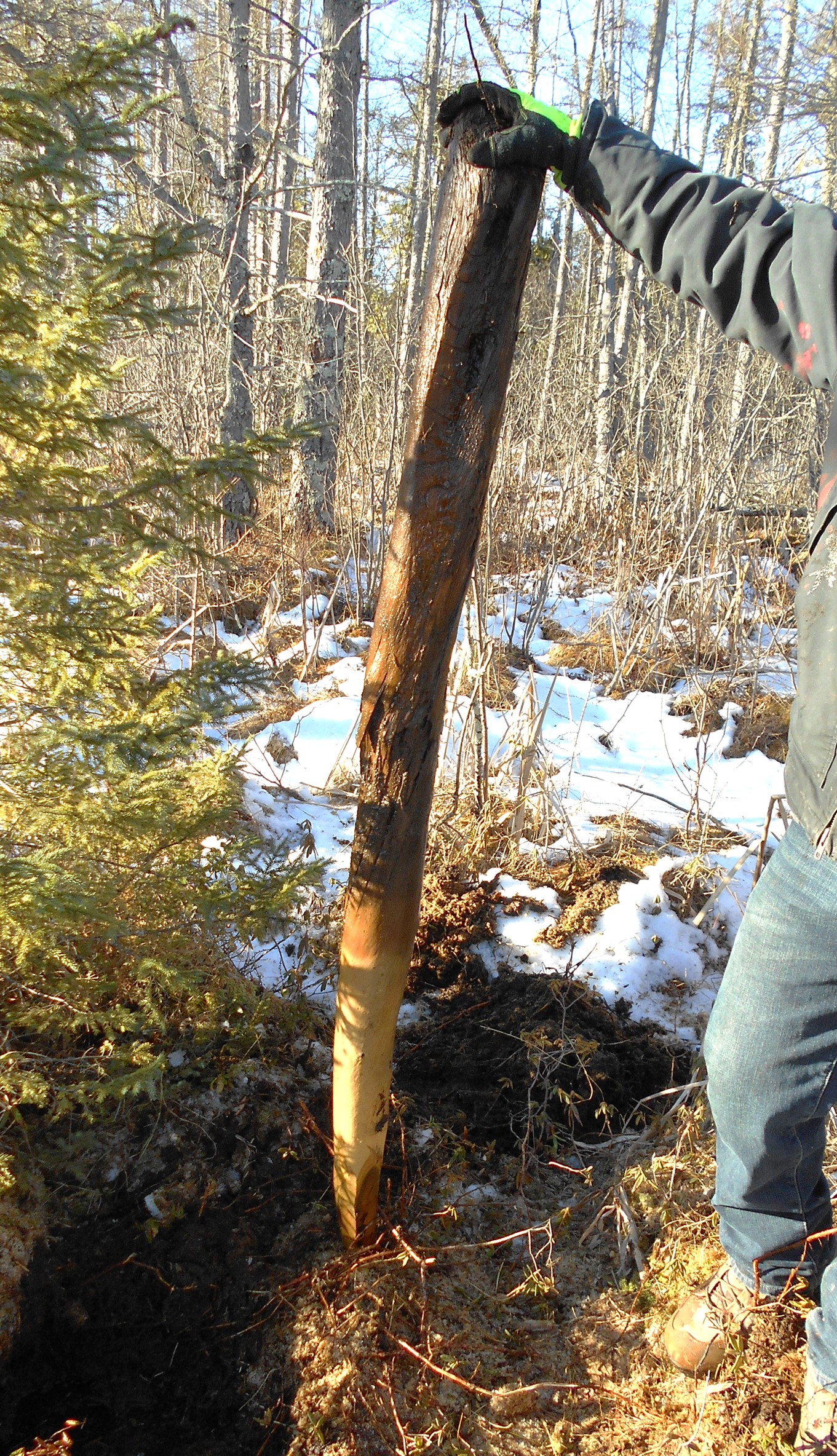 An original wooden land survey monument